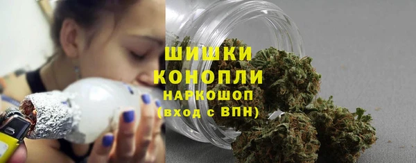 дурь Новодвинск