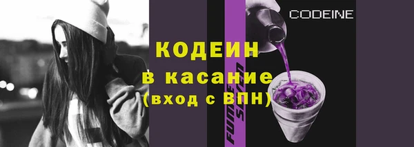 не бодяженный Ивангород