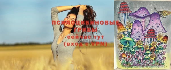 ешки Няндома