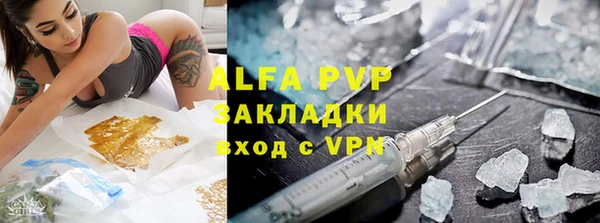 шишки Новозыбков