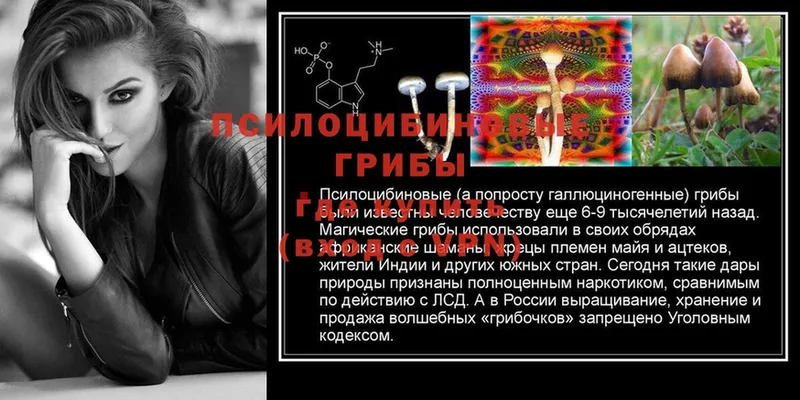 Псилоцибиновые грибы Psilocybine cubensis  купить   Константиновск 